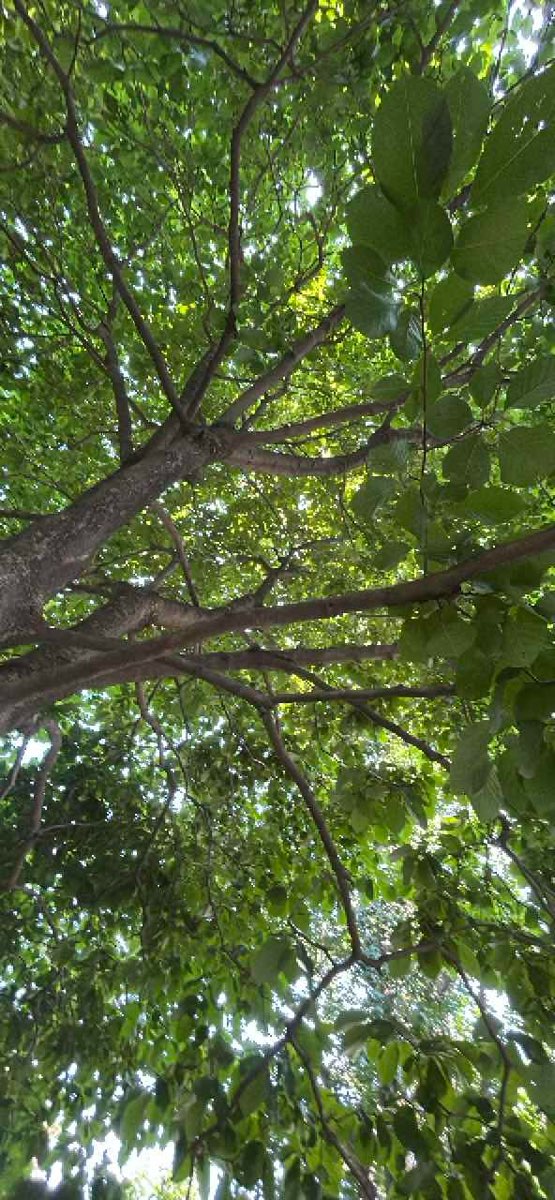 fotos da caça ao tesouro da Caça ao Tesouro no Centro de Nova York