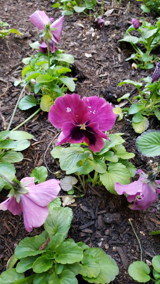 team building scavenger hunt