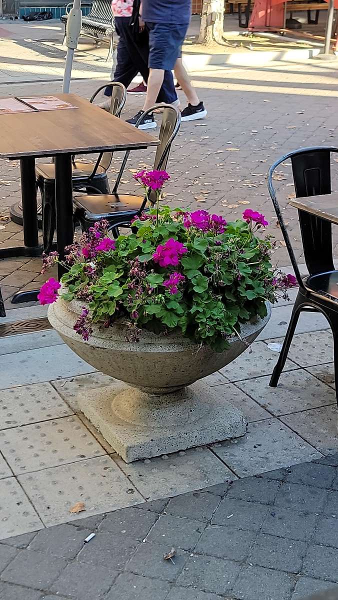 team building scavenger hunt