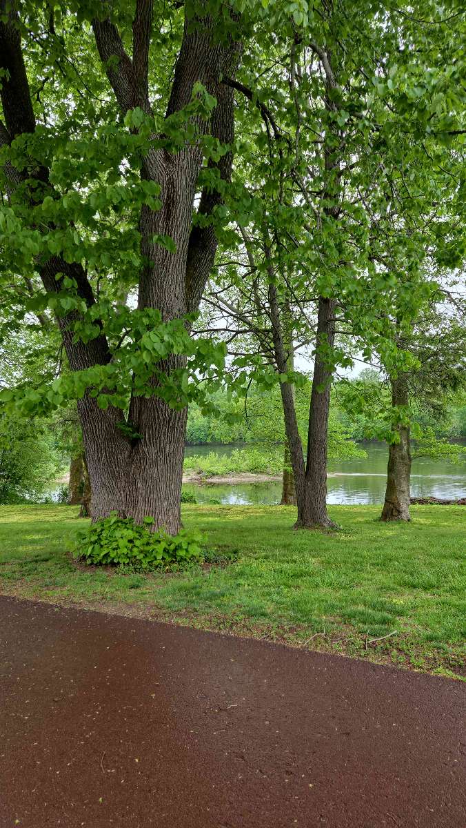 รูปภาพ Scavenger Hunt ของ Washington Crossing Scavenger Hunt