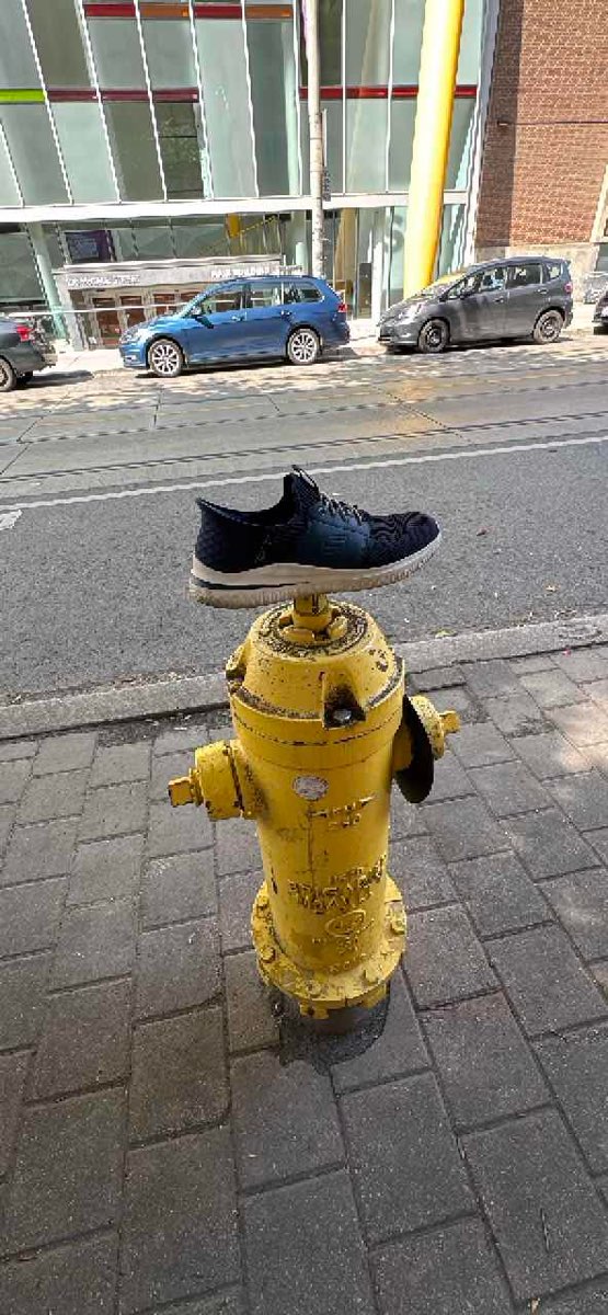 Toronto Downtown Scavenger Hunt scavenger hunt photos