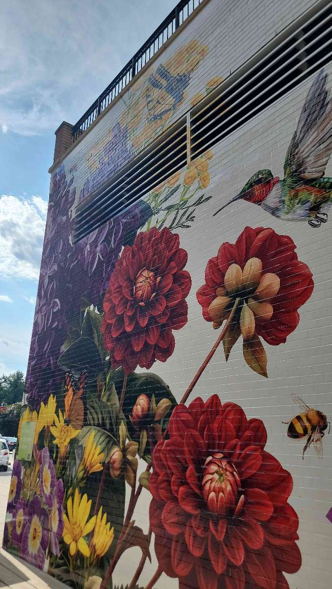 Rockville Maryland Skattejagt skattejagt fotos