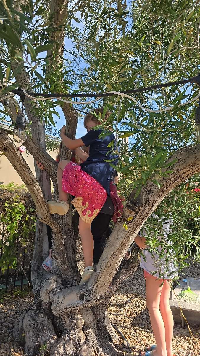 In-Home Downtown Scavenger Hunt scavenger hunt photos