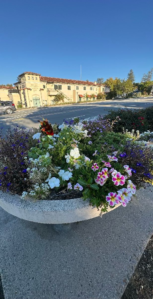 Saratoga Ghost Tour scavenger hunt photos