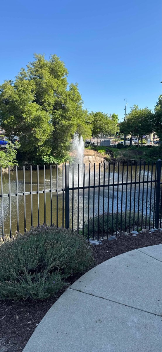 Rocklin Scavenger Hunt scavenger hunt photos