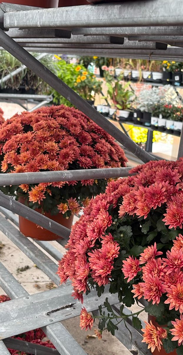 Mattoon Scavenger Hunt bilder fra skattejakt