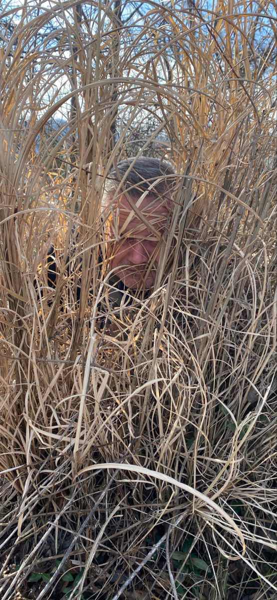 Black Mountain Scavenger Hunt scavenger hunt photos