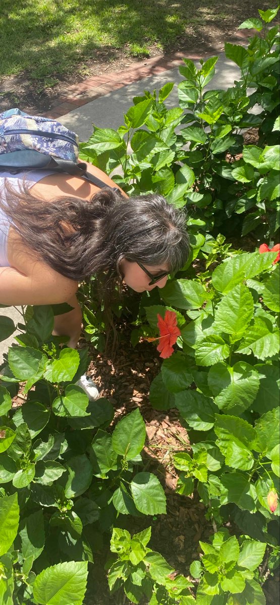 セーフティハーバー・スカベンジャーハントのスカベンジャーハント写真