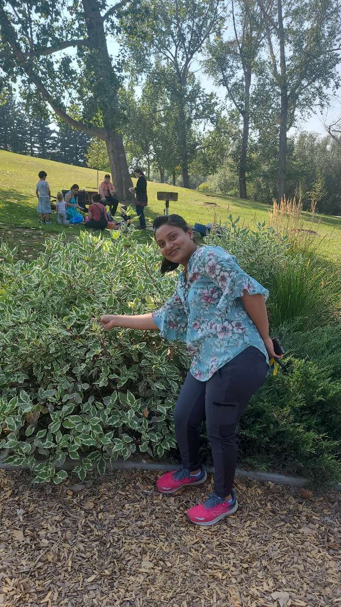 Calgary Audio Tour scavenger hunt photos