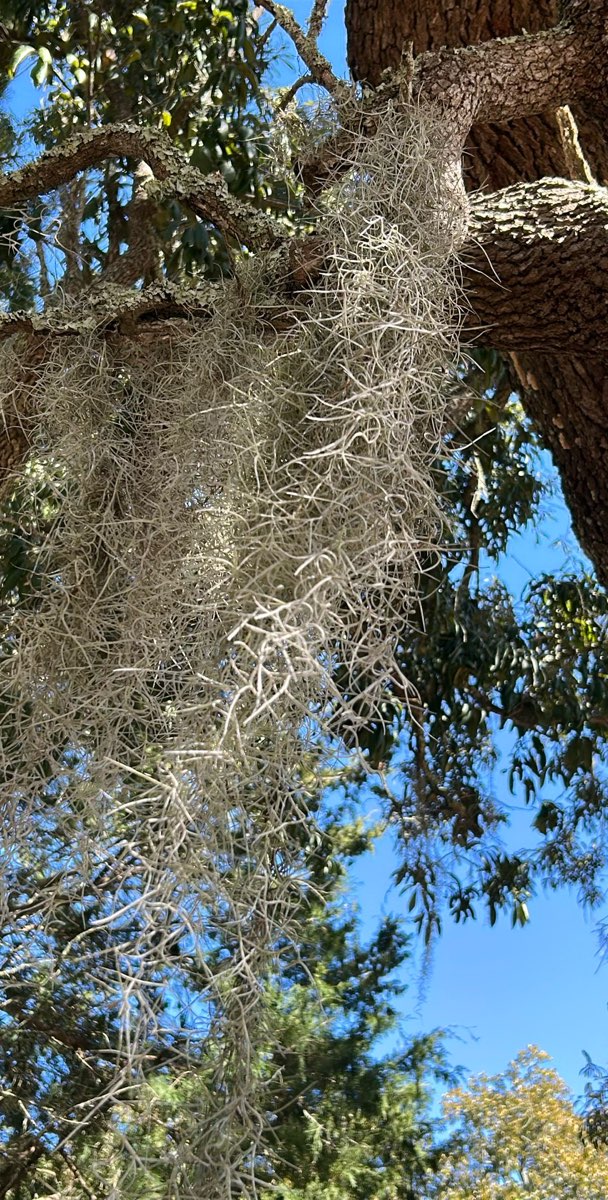 &kcy;&vcy;&iecy;&scy;&tcy; &dcy;&lcy;&yacy; &tcy;&icy;&mcy;&bcy;&icy;&lcy;&dcy;&icy;&ncy;&gcy;&acy;