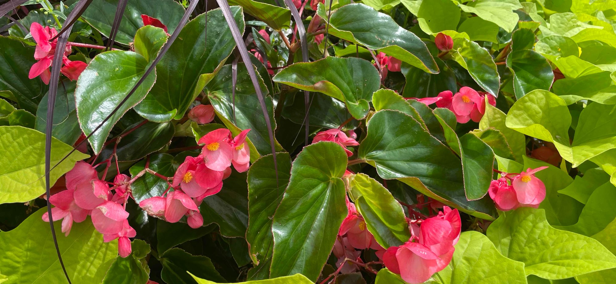 Milwaukee Scavenger Hunt scavenger hunt photos