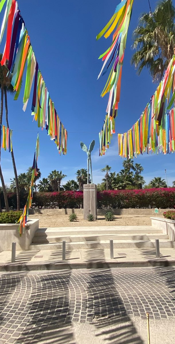 サンノゼ・デル・カボ スカベンジャーハントのスカベンジャーハント写真