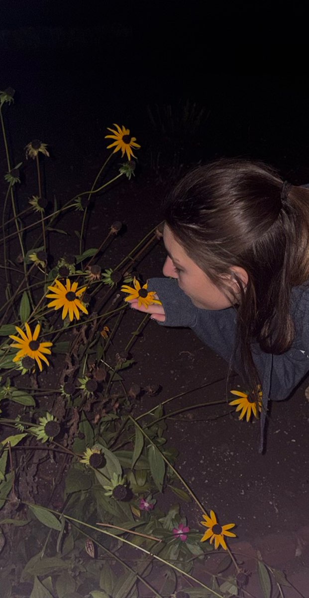 Portsmouth New Hampshire Scavenger Hunt skattejaktturer bilder