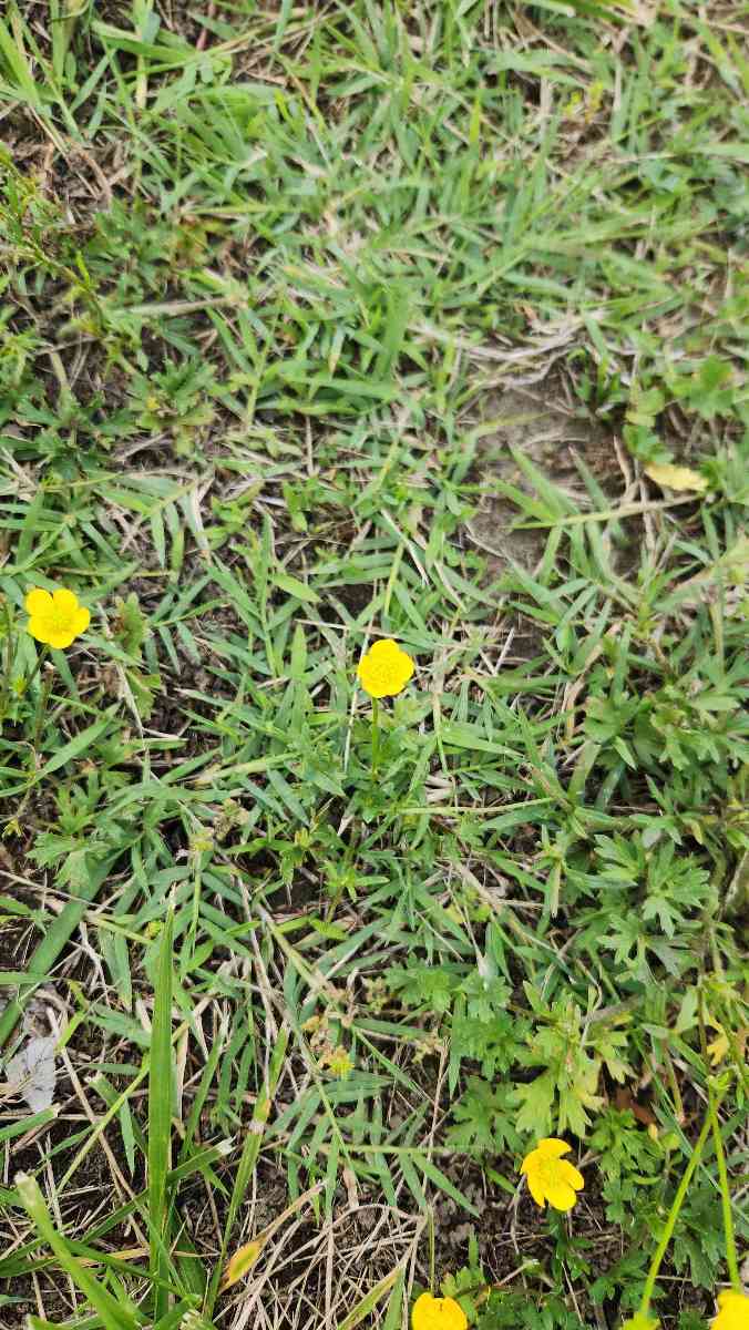 Scavenger Hunt a Spotsylvania Courthouse - Foto caccia al tesoro