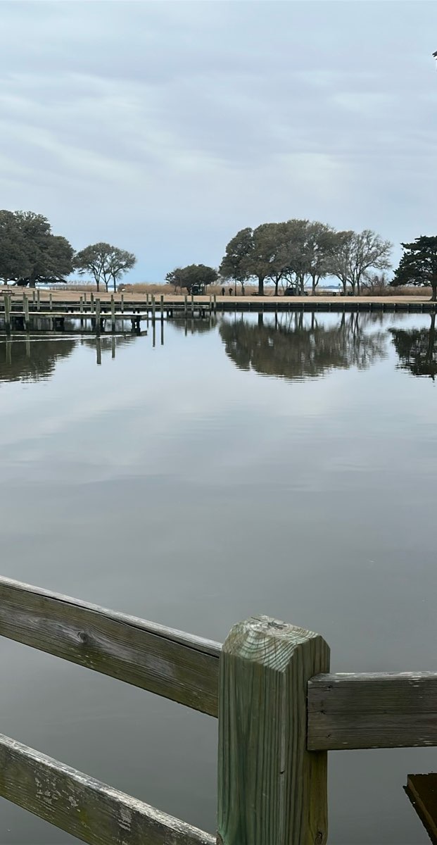 코로라 스캐빈저 헌트 스캐빈저 헌트 사진