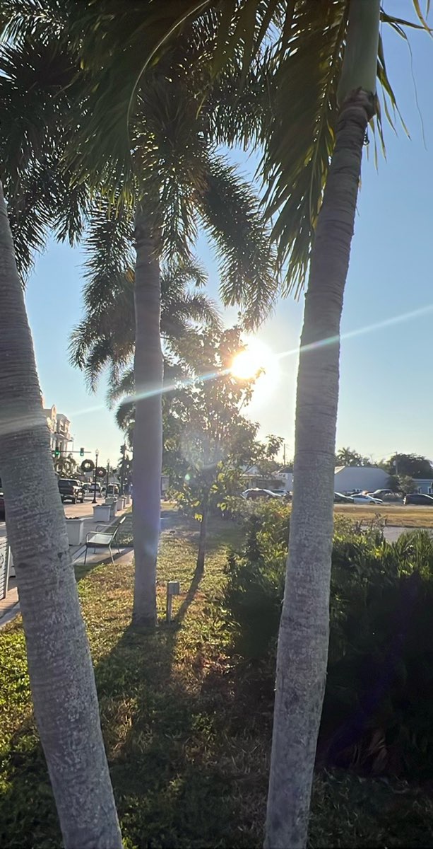 プンタ・ゴルダ・スカベンジャーハントの写真