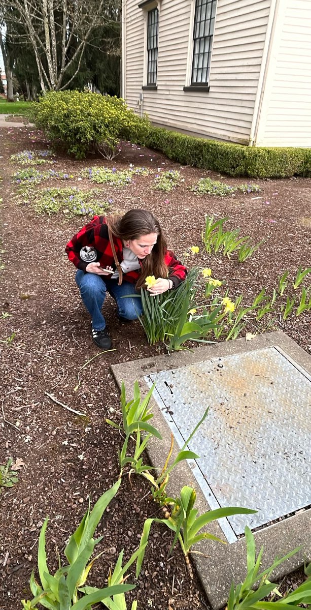 Pacific University Scavenger Hunt skattejakt-bilder