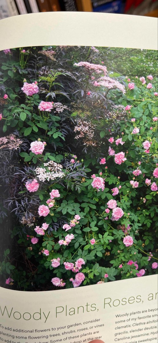 Frostburg Scavenger Hunt scavenger hunt photos