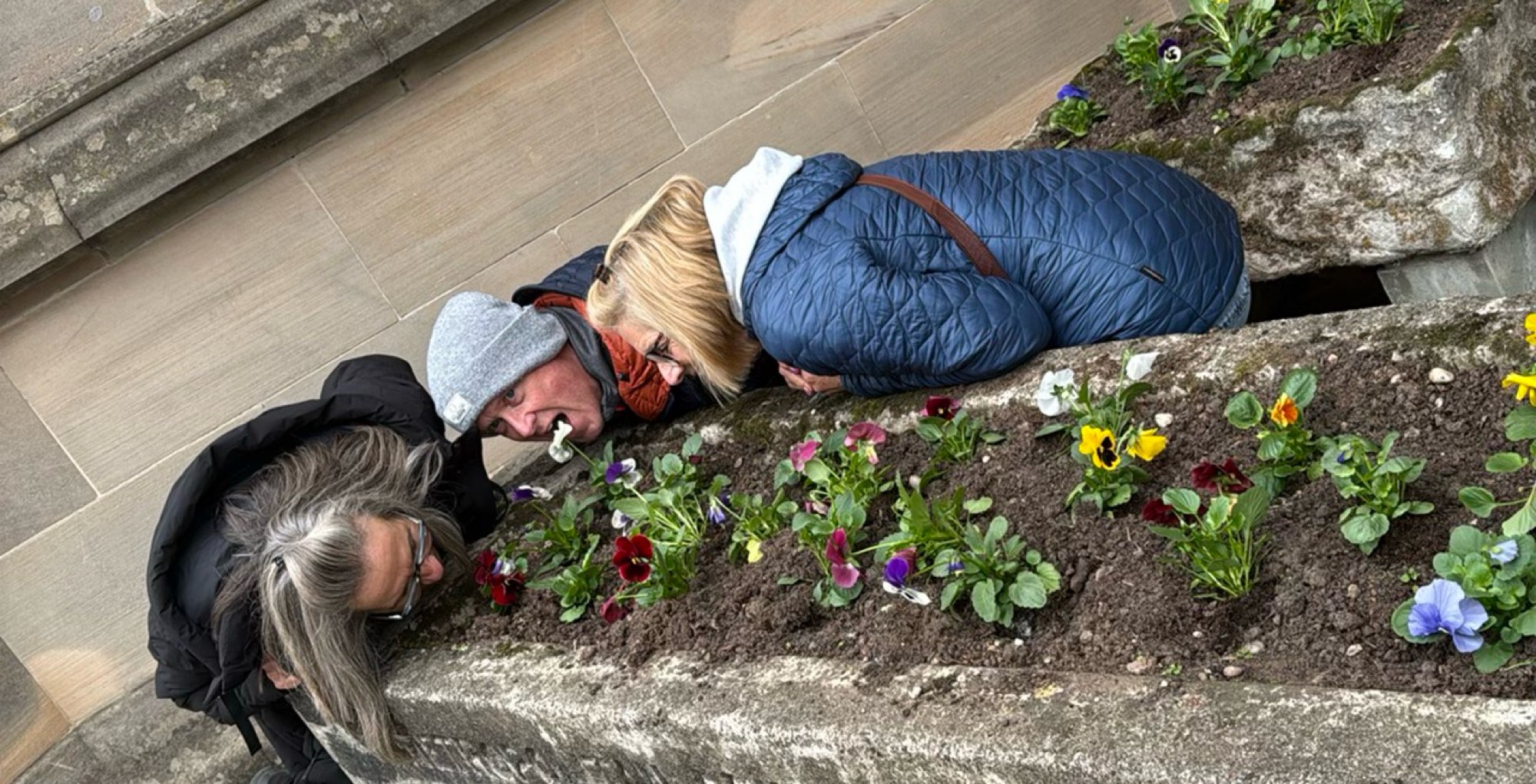 스트랫퍼드 어폰 에이본 스캐빈저 헌트 스캐빈저 헌트 사진