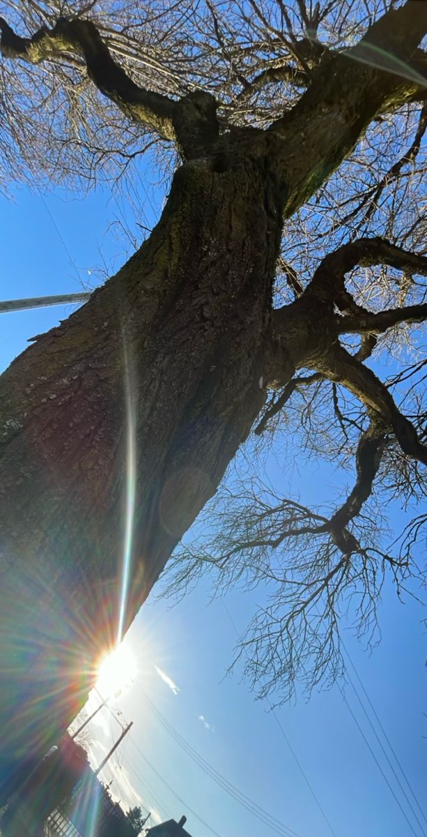 team building scavenger hunt