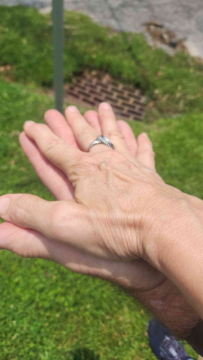 Beaufort South Carolina Scavenger Hunt scavenger hunt photos