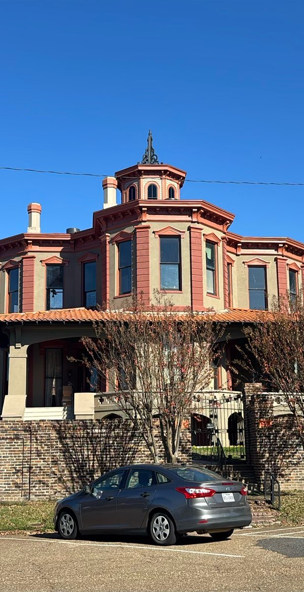 텍사카나 스캐빈저 헌트 스캐빈저 헌트 사진