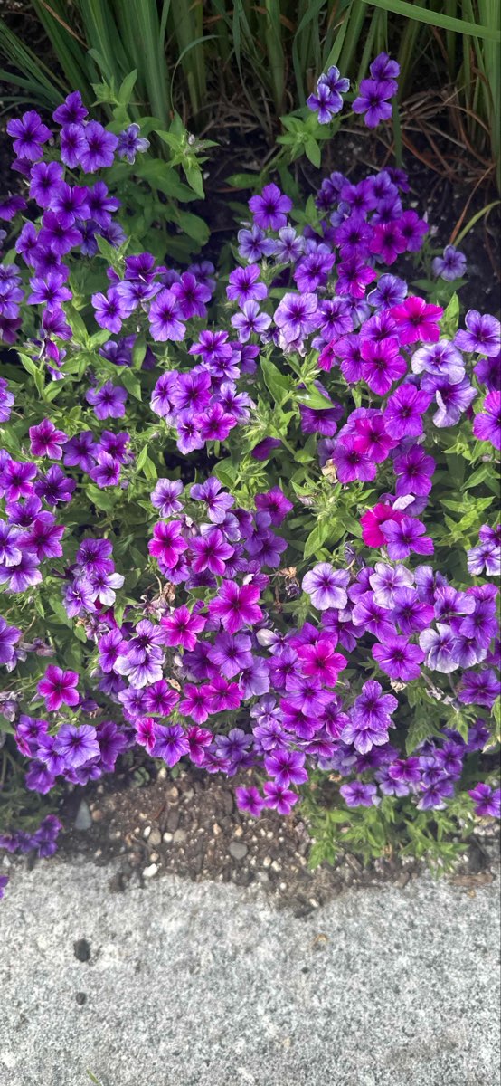 Portsmouth New Hampshire Downtown Scavenger Hunt scavenger hunt photos