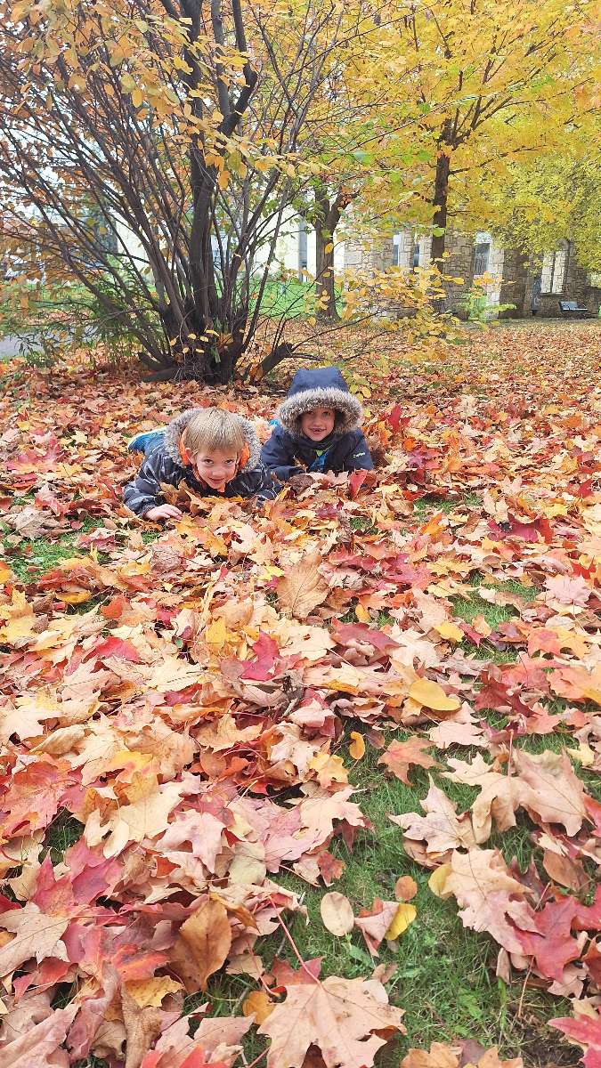 궬프 대학교 스캐빈저 헌트 스캐빈저 헌트 사진