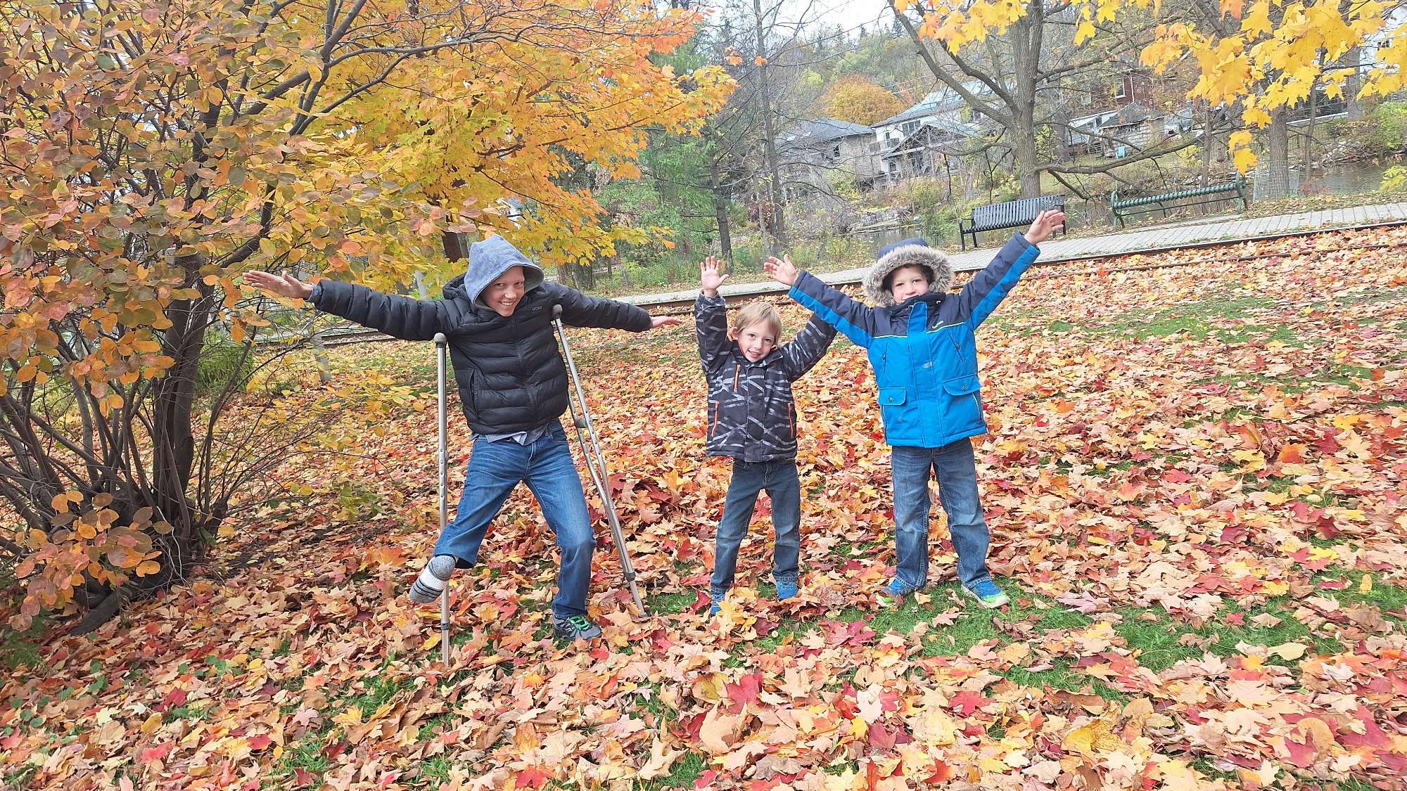 궬프 대학교 스캐빈저 헌트 스캐빈저 헌트 사진