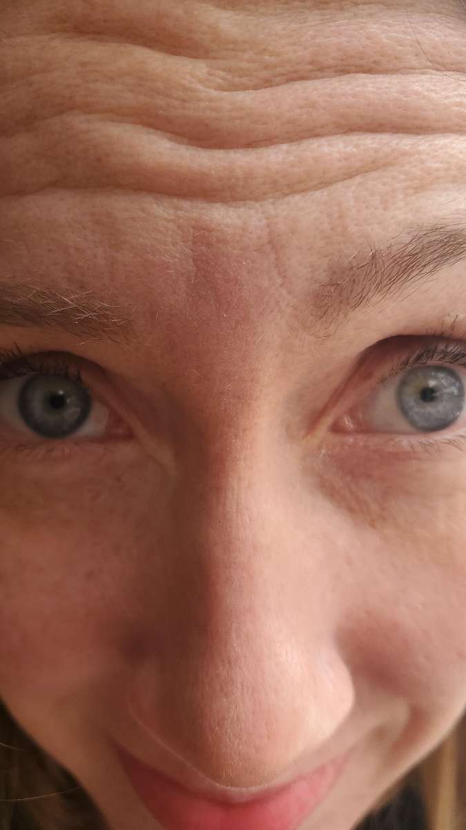 카멜 스캐빈저 헌트 스캐빈저 헌트 사진