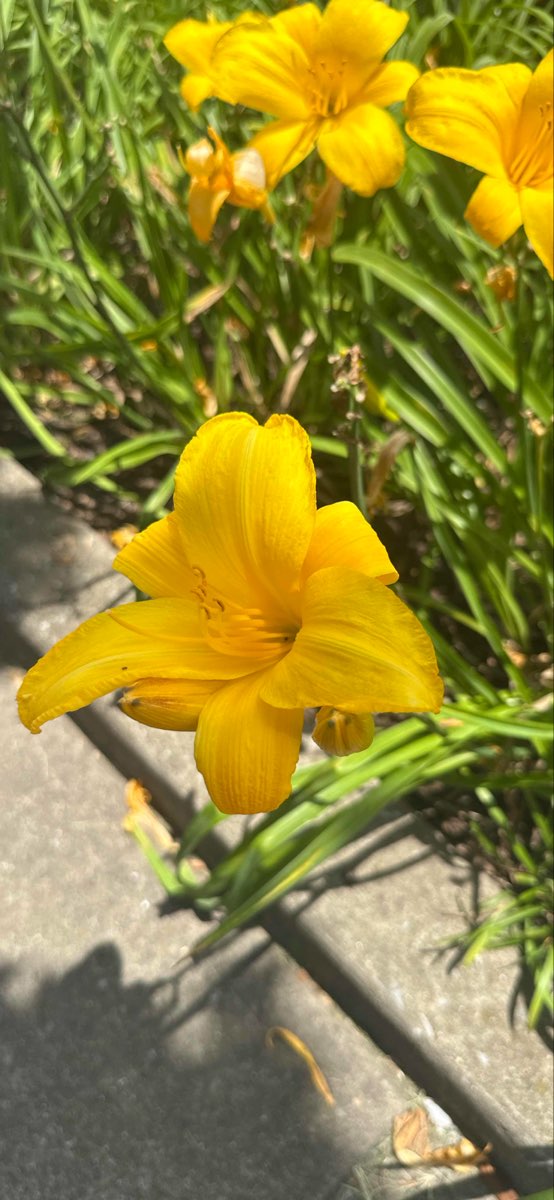 Hincheyville Scavenger Hunt scavenger hunt photos