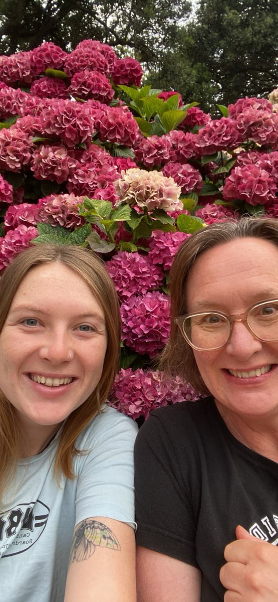 Napier Scavenger Hunt scavenger hunt billeder