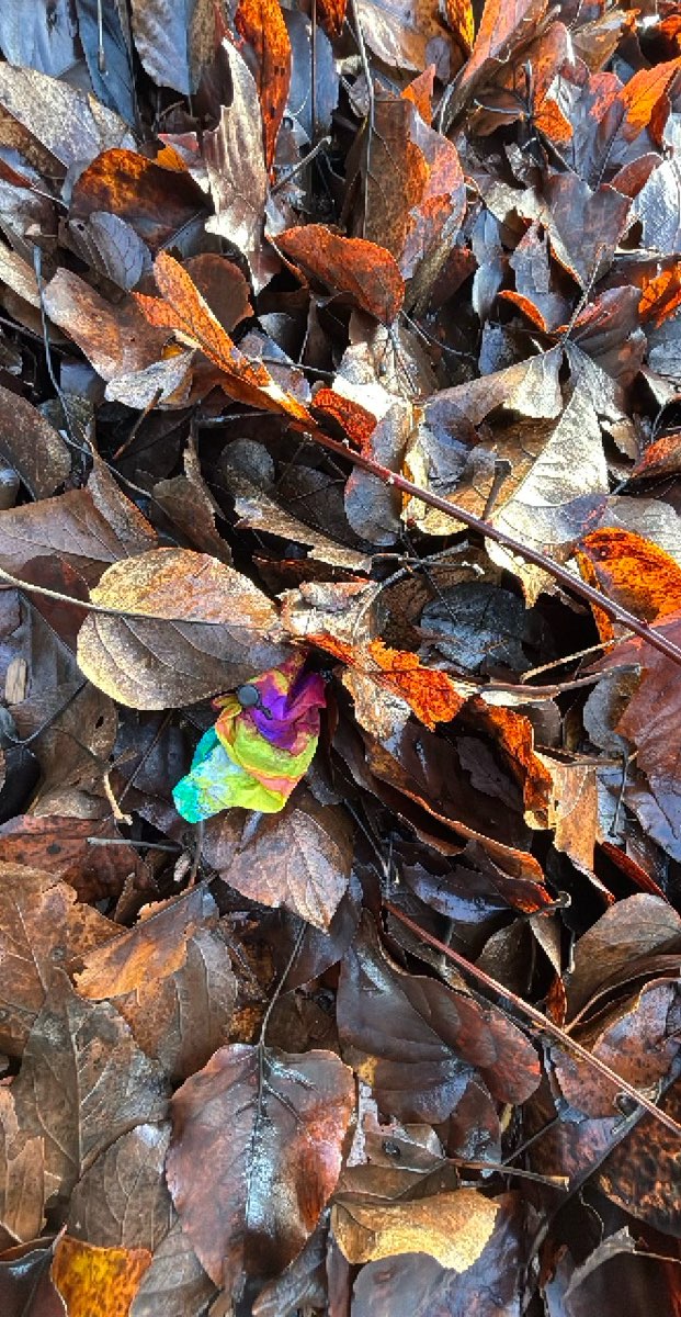 &Fcy;&ocy;&tcy;&ocy;&gcy;&rcy;&acy;&fcy;&icy;&icy; &kcy;&vcy;&iecy;&scy;&tcy;&acy; &pcy;&ocy; &Bcy;&iecy;&lcy;&vcy;&softcy;&yucy;&comma; &Vcy;&acy;&shcy;&icy;&ncy;&gcy;&tcy;&ocy;&ncy;