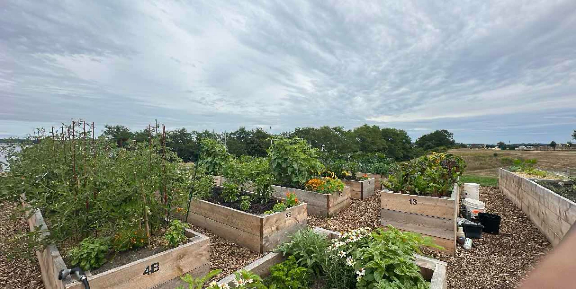 รูปภาพพอร์ตแลนด์ เมน สแกฟเจอร์ ฮันต์