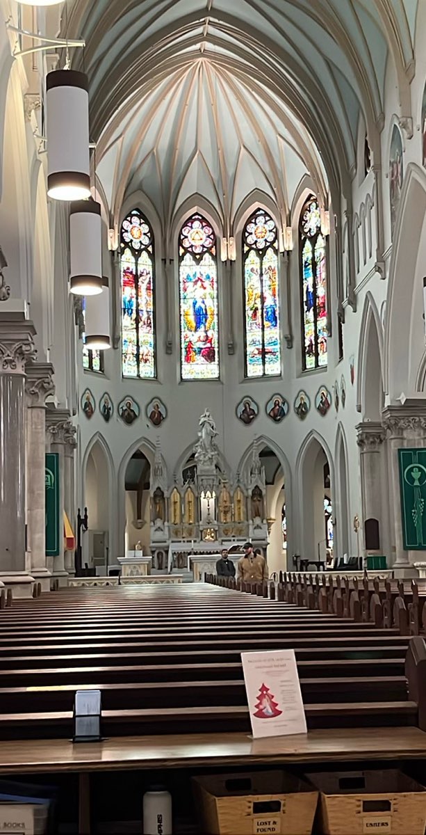 궬프 대학교 스캐빈저 헌트 스캐빈저 헌트 사진