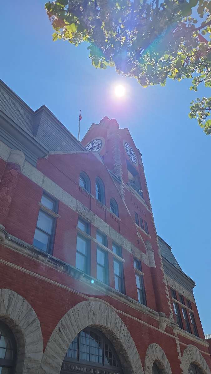Collingwood Bekçi Avı bekçi avı fotoğrafları