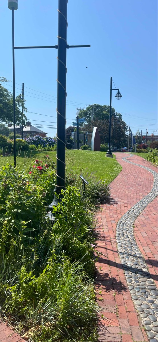 Hyannis Scavenger Hunt scavenger hunt photos