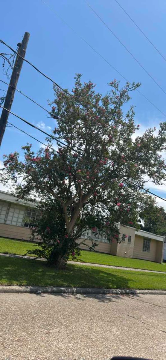 Donaldsonville Scavenger Hunt scavenger hunt photos