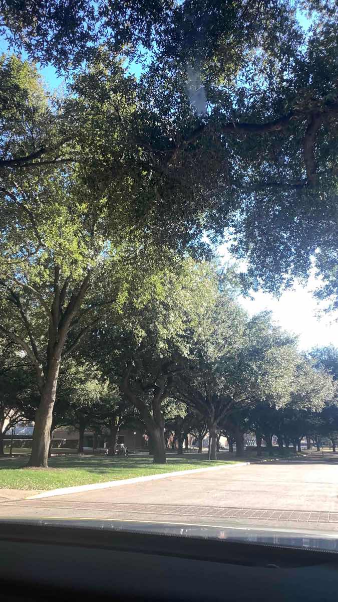 Southern Methodist University Scavenger Hunt scavenger hunt photos