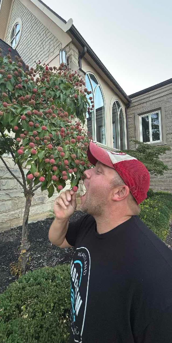 Medina Ohio Scavenger Hunt scavenger hunt photos