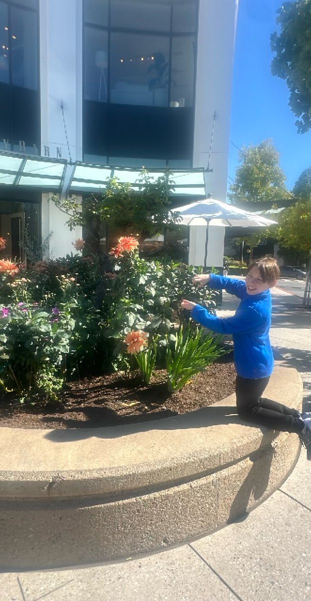 Palo Alto belvárosi kincskereső fotók