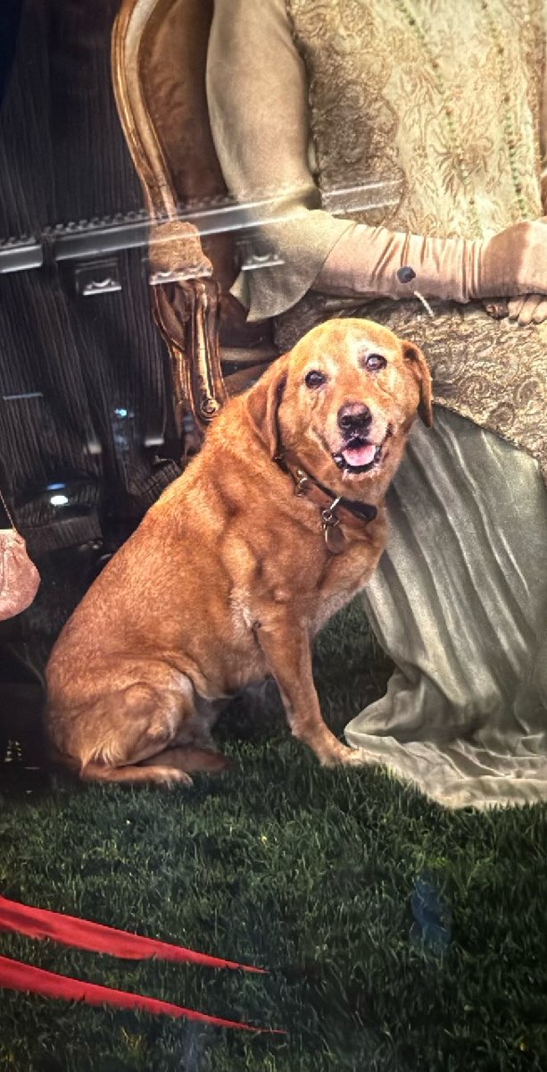 Montclair Scavenger Hunt scavenger hunt photos