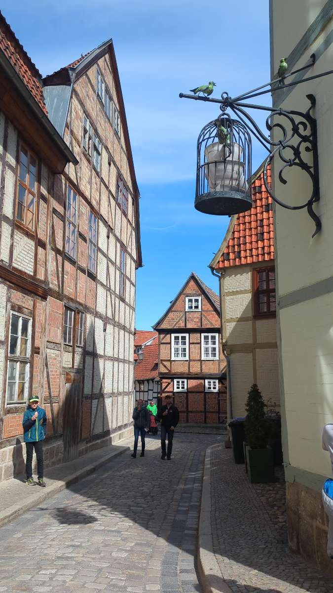 Quedlinburg Scavenger Hunt scavenger hunt billeder