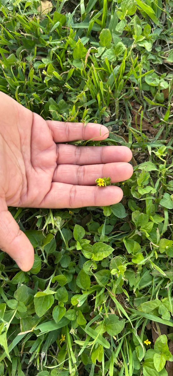 &Phi;&omega;&tau;&omicron;&gamma;&rho;&alpha;&phi;ί&epsi;&sigmav; &alpha;&pi;ό &tau;&omicron; San Antonio Texas Bar Crawl scavenger hunt