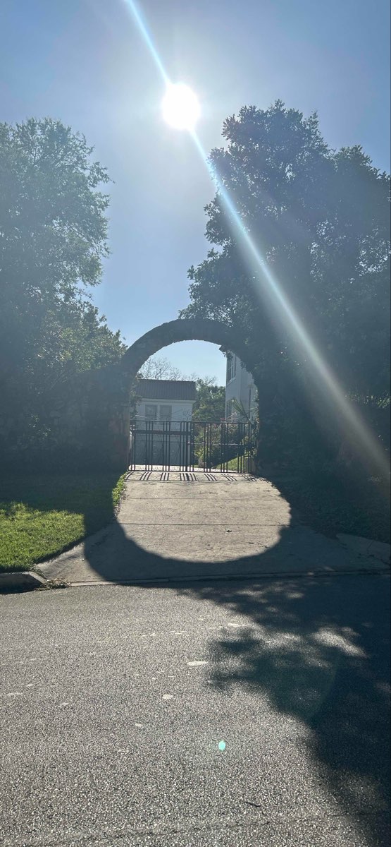 Fotografii de la V&acirc;n&abreve;toarea de Comori la Trinity University