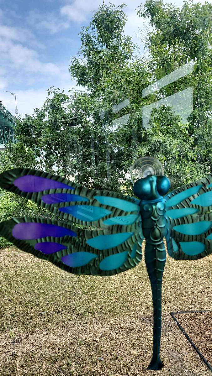 Saint Ignace Scavenger Hunt scavenger hunt photos