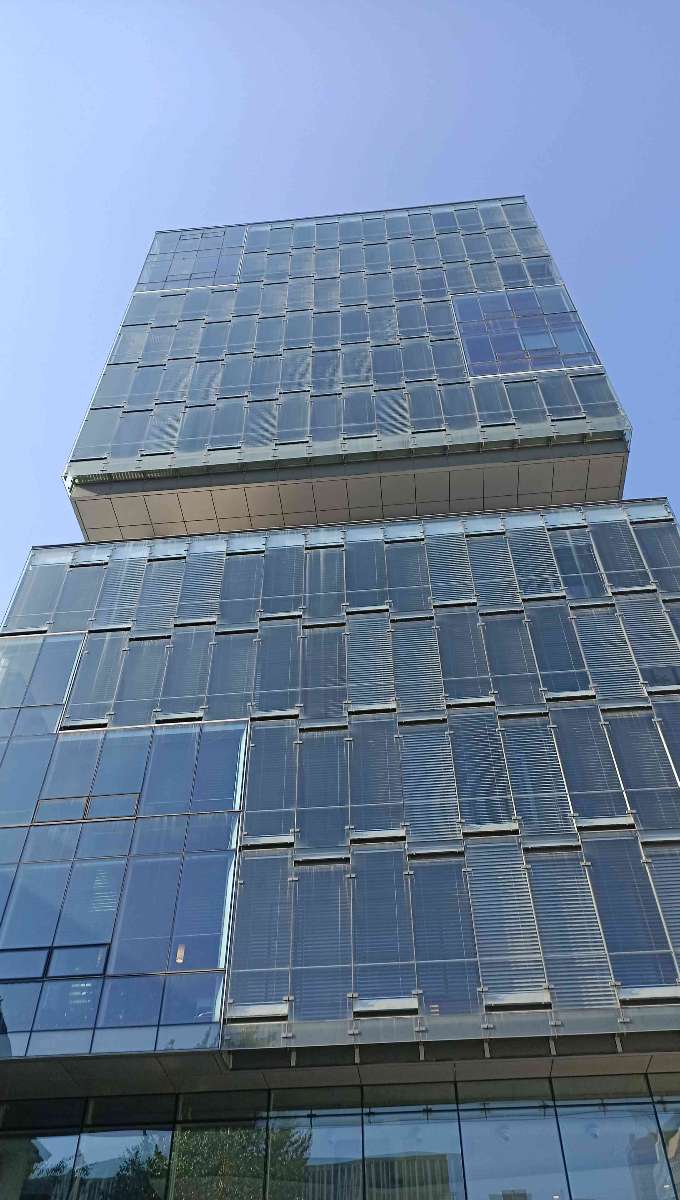 Toronto Downtown Scavenger Hunt scavenger hunt photos