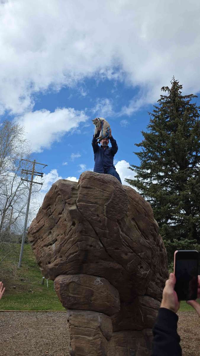 Pagosa Springs Scavenger Hunt scavenger hunt photos