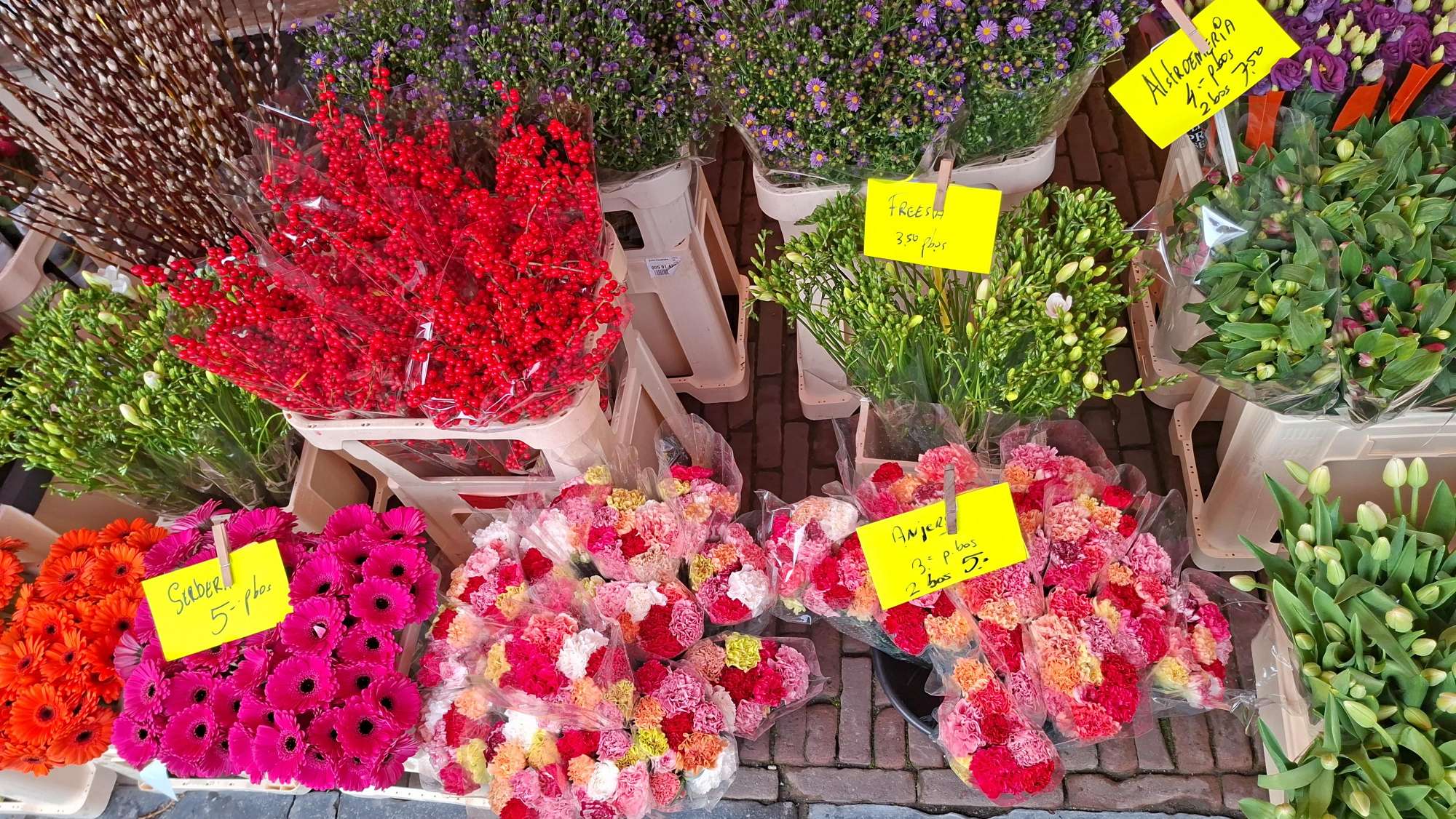 Haarlem Scavenger Hunt scavenger hunt photos