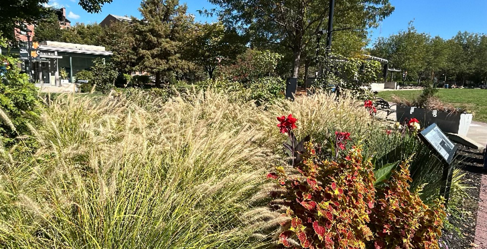 Φωτογραφίες του Xavier University Scavenger Hunt